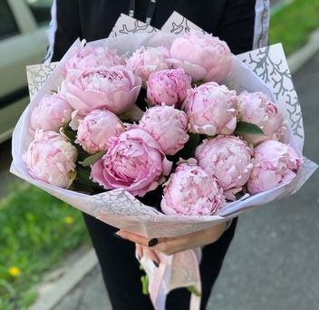 Розовые пионы в Красногорске