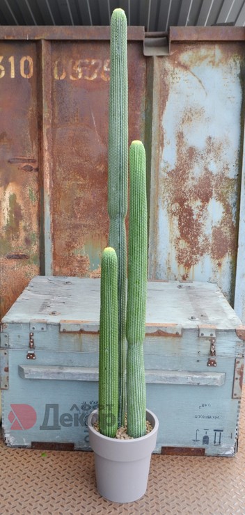 Искусственный Кактус тройной в горшке h165см