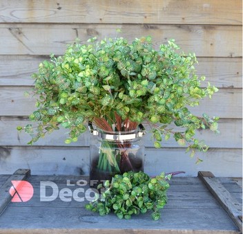 Искусственный куст ветка Фиттония 5 веток, зеленый 50 см