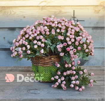 Камелия искусственная 27 см бело-розовая