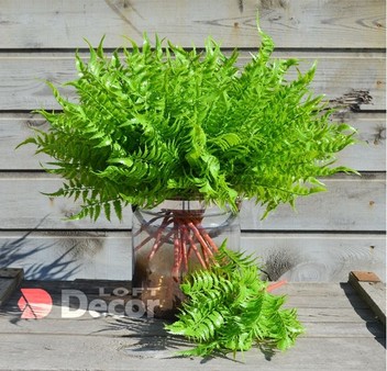 Искусственный куст Вудвардия 7 веток, зеленый 43 см