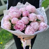 Розовые пионы в Красногорске