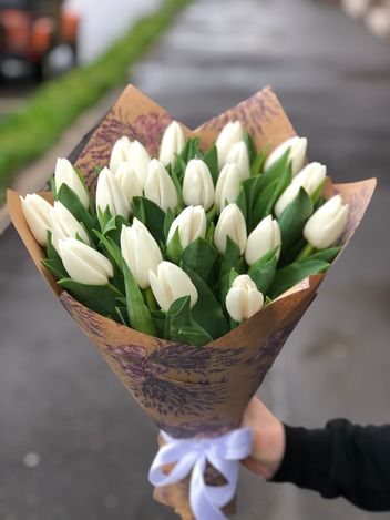 Тюльпаны в mfstuduio.ru