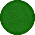 Зеленый флис
